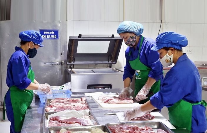 Sản phẩm thịt lợn của Hợp tác xã Hoàng Long, xã Tân Ước (huyện Thanh Oai) đạt tiêu chuẩn OCOP 4 sao. Sản phẩm thịt lợn của Hợp tác xã Hoàng Long, xã Tân Ước (huyện Thanh Oai) đạt tiêu chuẩn OCOP 4 sao.