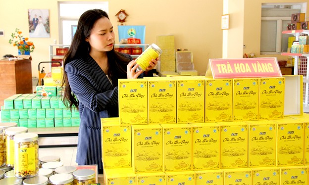 Sản phẩm trà hoa vàng của Hợp tác xã Dược liệu công nghệ cao Trường Sơn.