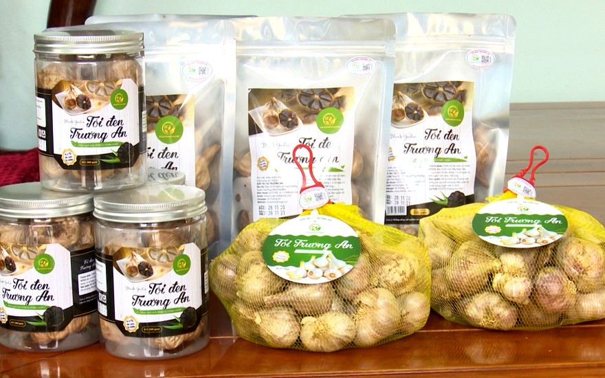 Sản phẩm OCOP Tỏi đen Trường An của huyện Thái Thụy (Thái Bình). Sản phẩm OCOP Tỏi đen Trường An của huyện Thái Thụy (Thái Bình).