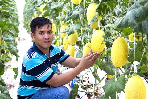 Sản phẩm OCOP Vĩnh Long - Mang đậm bản sắc địa phương