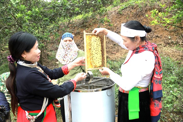 Các thành viên HTX nông nghiệp bản Dao Thống Nhất (TP Hòa Bình) chia sẻ kinh nghiệm, kỹ thuật nuôi ong. Các thành viên HTX nông nghiệp bản Dao Thống Nhất (TP Hòa Bình) chia sẻ kinh nghiệm, kỹ thuật nuôi ong.