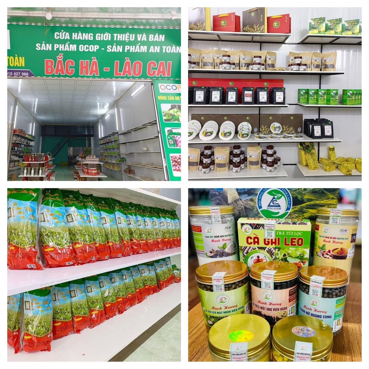 Lào Cai sẽ có khoảng 300 sản phẩm OCOP từ 3 sao trở lên Lào Cai sẽ có khoảng 300 sản phẩm OCOP từ 3 sao trở lên