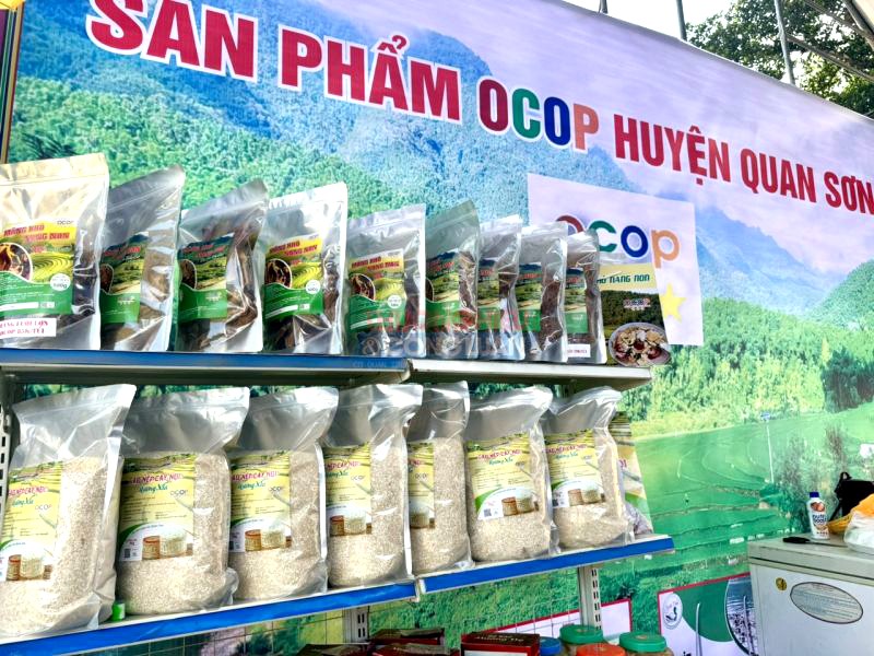 Măng rừng - Hành trình đến sản phẩm OCOP
