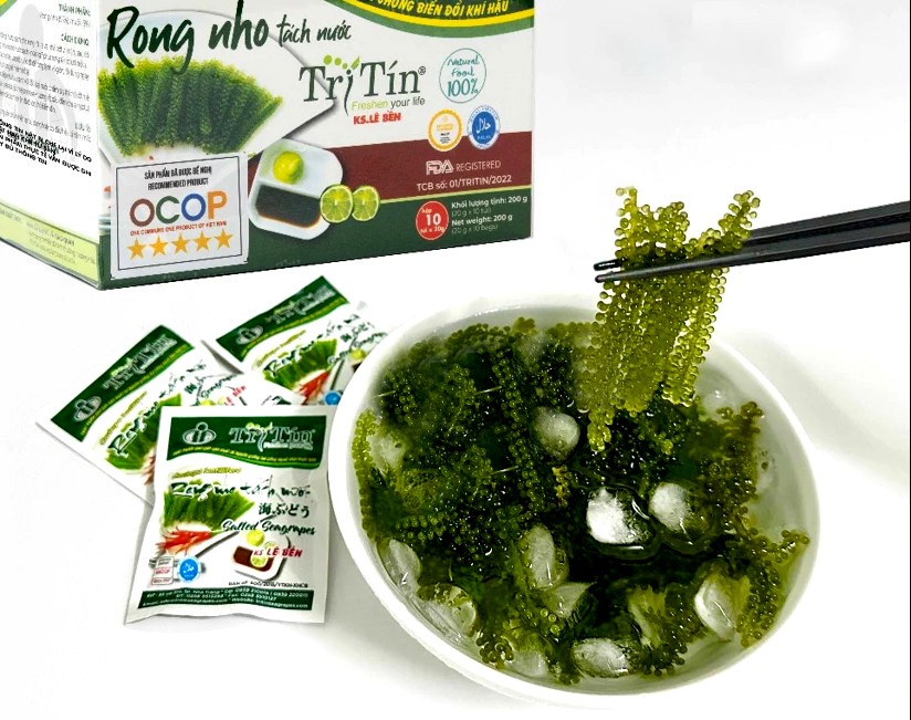 Sản phẩm rong nho tách nước Trí Tín.