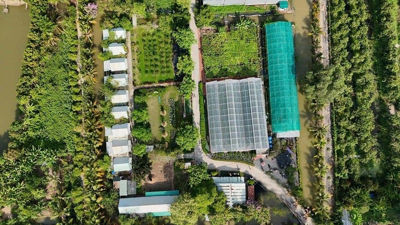 Panoramic view of the cool green space of the 3-star OCOP tourist destination Phan Nam Farm, featuring clean vegetable beds and greenhouses growing many types of agricultural products.