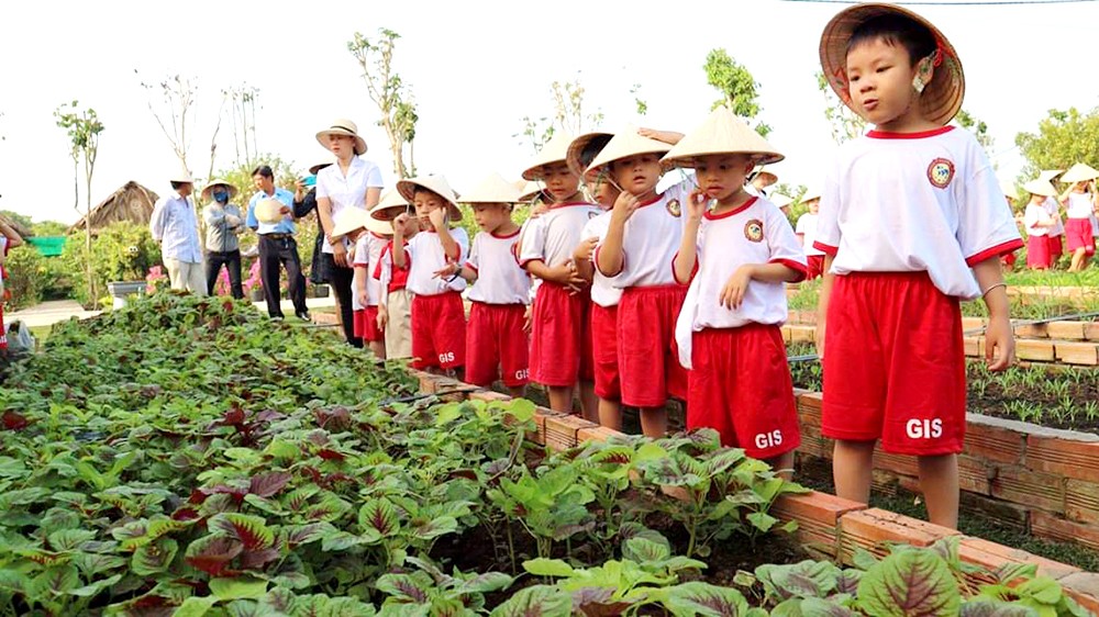 Students experience agricultural tourism combined with school education at Phan Nam Farm