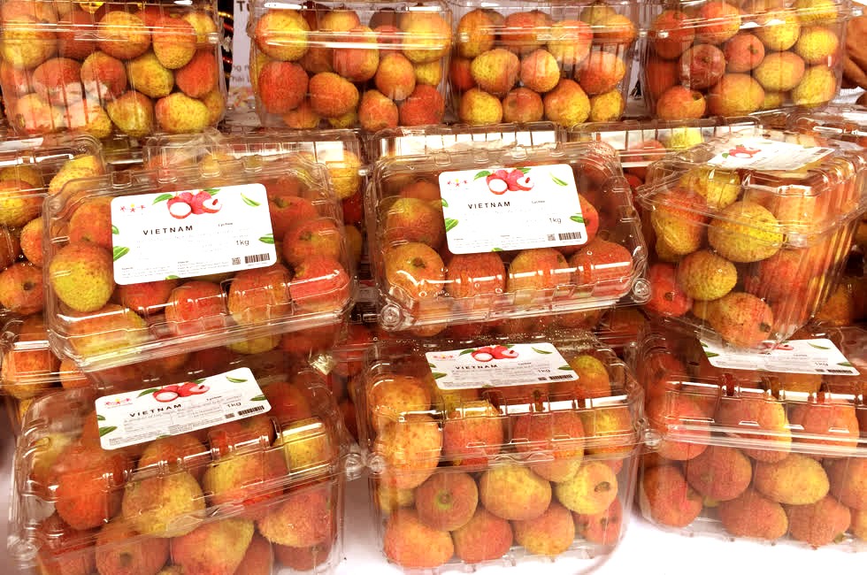 Bắc Giang kỳ vọng vụ vải thiều năm 2025 bội thu