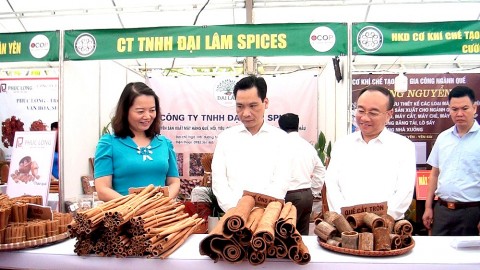 huyen van yen yen bai chu trong kiem soat chat luong san pham ocop