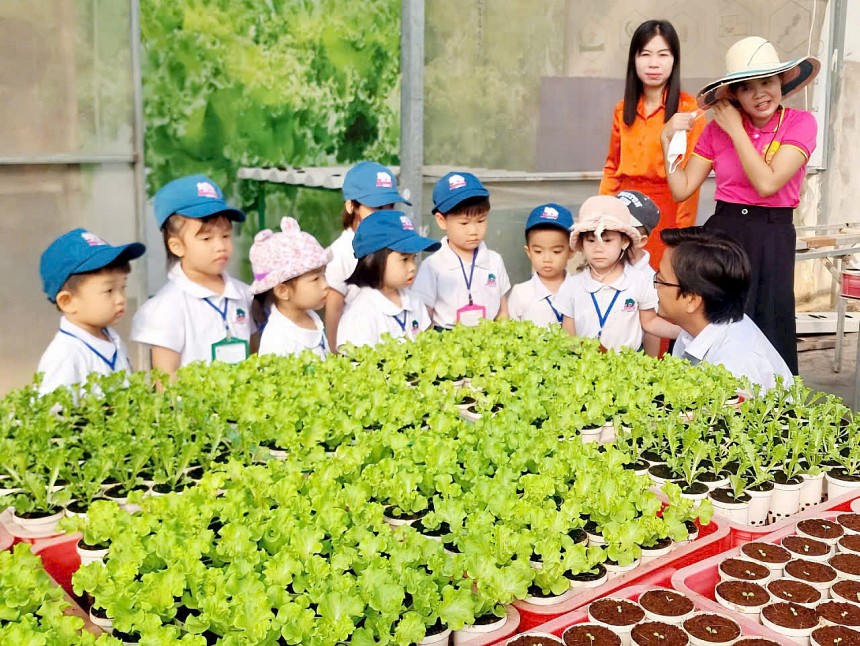 Nông nghiệp TP. HCM cần nhiều hướng đi để phát triển trong thời đại mới