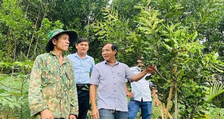 Hỗ trợ các huyện miền núi Quảng Ngãi phát triển sản phẩm OCOP