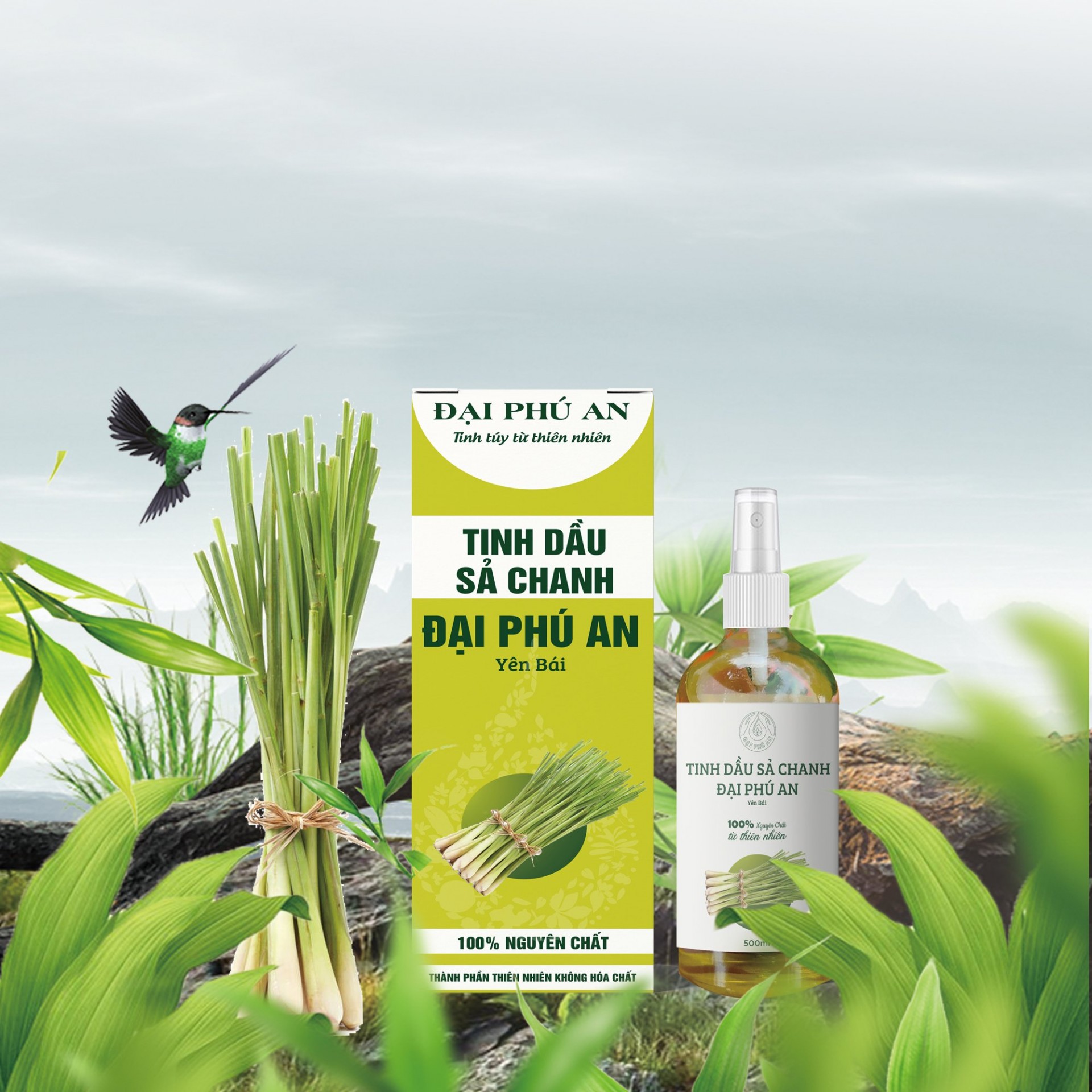 Sản phẩm tinh dầu của Yên Bái được đề xuất đạt OCOP 5 sao