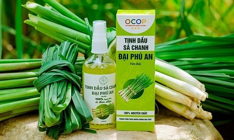 Sản phẩm tinh dầu của Yên Bái được đề xuất đạt OCOP 5 sao