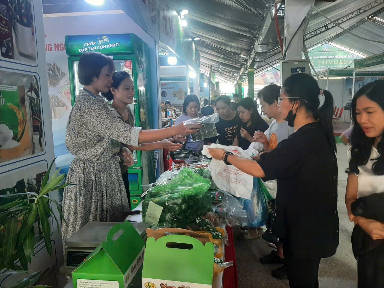 “Nem chua Liên 36” - Đậm đà hương vị xứ Thanh, say lòng thực khách “Nem chua Liên 36” - Đậm đà hương vị xứ Thanh, say lòng thực khách