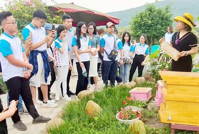 Công ty CP Ong mật Việt Ý có nhiều sản phẩm OCOP nhất Chí Linh