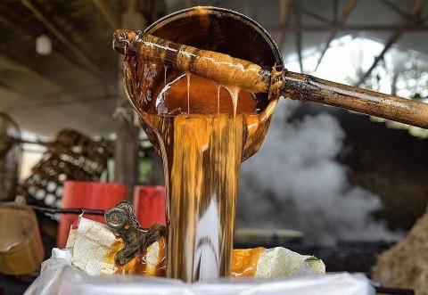 Làng mật mía trứ danh xứ Nghệ đỏ lửa từ sáng đến tối