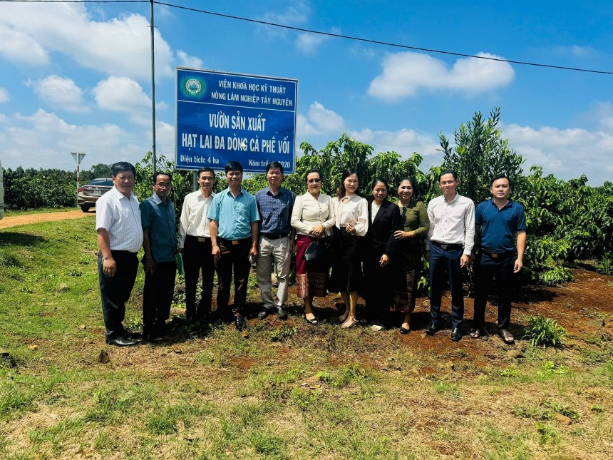 Ông Lê Văn Vương - Giám đốc Công Ty TNHH Sản Xuất Và Thương Mại Vương Thành Công (thứ tư, từ trái sang) cùng các đại diện các doanh nghiệp tham quan mô hình vườn sản xuất hạt lai đa dòng cà phê vối Ông Lê Văn Vương - Giám đốc Công Ty TNHH Sản Xuất Và Thương Mại Vương Thành Công (thứ tư, từ trái sang) cùng các đại diện các doanh nghiệp tham quan mô hình vườn sản xuất hạt lai đa dòng cà phê vối