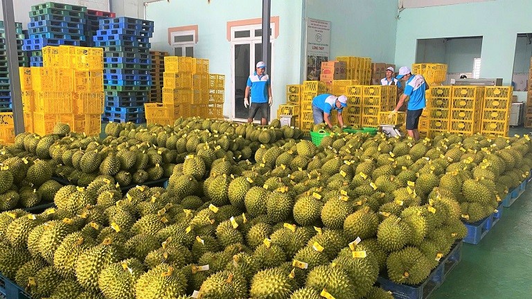 Sản phẩm OCOP ở Bảo Lâm chinh phục thị trường quốc tế