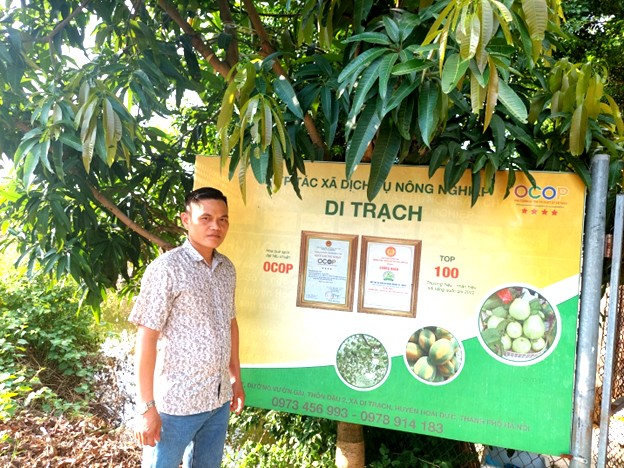 Sản phẩm OCOP 4 sao Ổi Di Trạch được người tiêu dùng tin tưởng