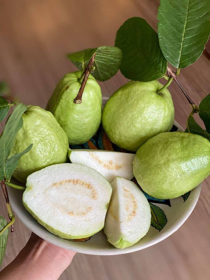 Sản phẩm OCOP 4 sao Ổi Di Trạch được người tiêu dùng tin tưởng