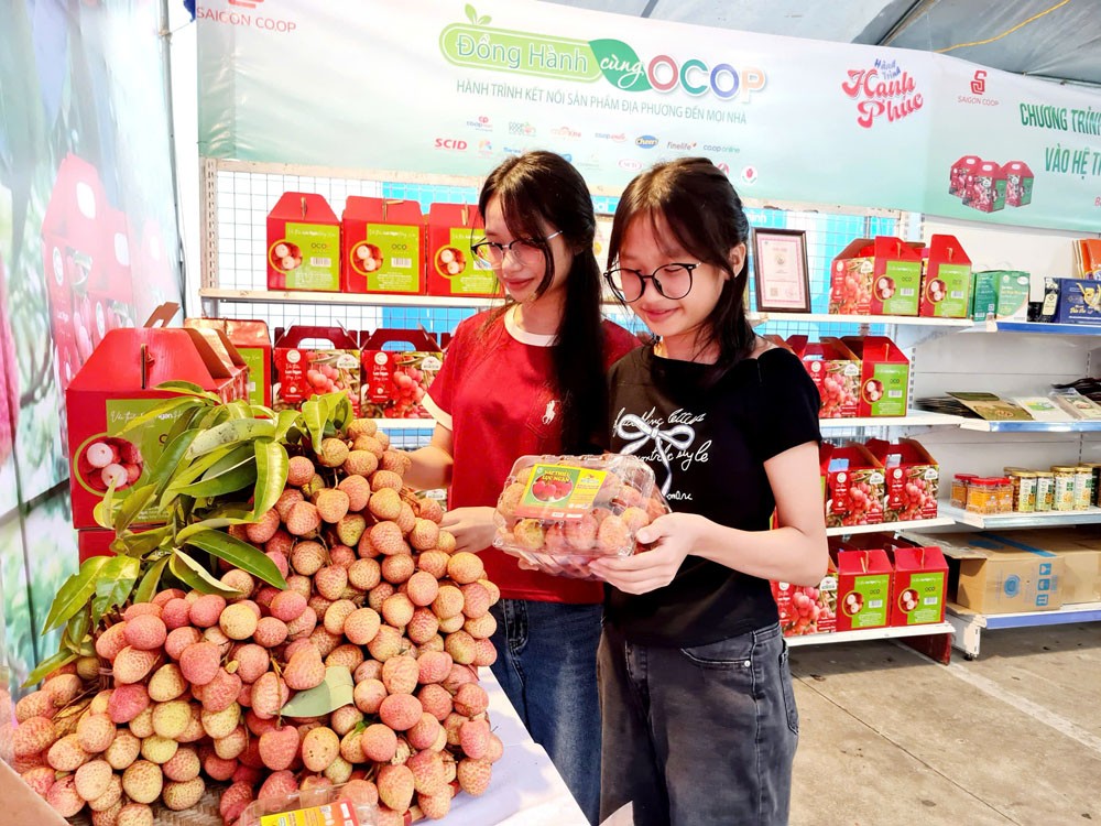 Sản phẩm vải thiều Lục Ngạn đạt OCOP 5 sao được trưng bày tại Siêu thị Co.opmart Bắc Giang. Sản phẩm vải thiều Lục Ngạn đạt OCOP 5 sao được trưng bày tại Siêu thị Co.opmart Bắc Giang.