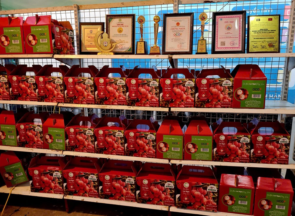 Vải thiều Lục Ngạn đạt OCOP 5 sao được đóng trong hộp giấy thân thiện với môi trường. Vải thiều Lục Ngạn đạt OCOP 5 sao được đóng trong hộp giấy thân thiện với môi trường.