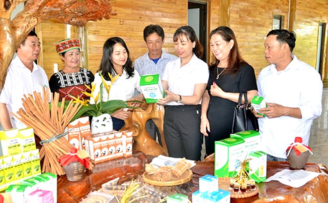 Sản phẩm OCOP tại các địa phương được hỗ trợ xúc tiến quảng bá tiêu thụ rộng rãi.  Sản phẩm OCOP tại các địa phương được hỗ trợ xúc tiến quảng bá tiêu thụ rộng rãi.