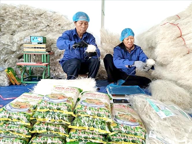 Sản phẩm miến OCOP 3 sao của HTX Xanh Toàn Nga, xã Quy Mông, huyện Trấn Yên xuất khẩu sang thị trường châu Âu. Sản phẩm miến OCOP 3 sao của HTX Xanh Toàn Nga, xã Quy Mông, huyện Trấn Yên xuất khẩu sang thị trường châu Âu.