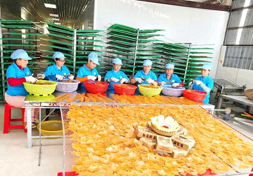 Công nhân của Công ty TNHH SX - TM - DV Kiên Cường (xã Hàng Vịnh, huyện Năm Căn) cắt ra từng lát nhỏ để cho vào hộp. Công nhân của Công ty TNHH SX - TM - DV Kiên Cường (xã Hàng Vịnh, huyện Năm Căn) cắt ra từng lát nhỏ để cho vào hộp.