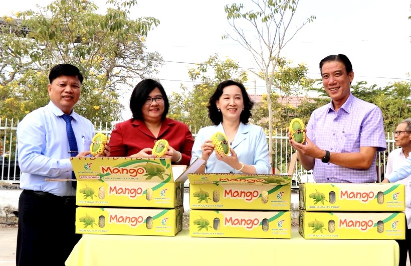 Lô xoài hạt lép đầu tiên xuất khẩu sang thị trường Hàn Quốc.  Lô xoài hạt lép đầu tiên xuất khẩu sang thị trường Hàn Quốc.