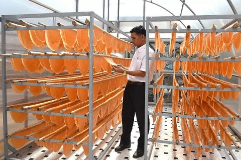 Cà Mau có 191 sản phẩm được chứng nhận OCOP