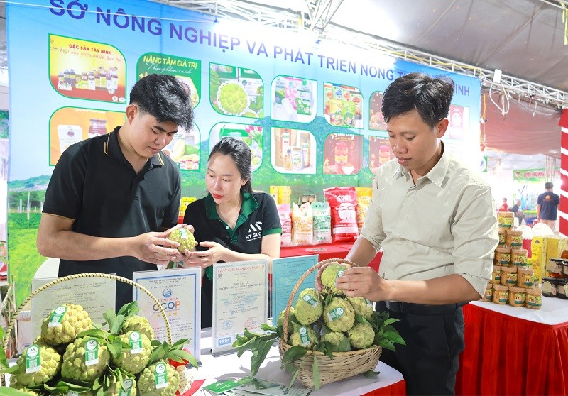 Sản phẩm mãng cầu Tây Ninh tại Hội chợ triển lãm đặc sản vùng miền và sản phẩm tiêu biểu miền Đông Nam bộ năm 2024. Sản phẩm mãng cầu Tây Ninh tại Hội chợ triển lãm đặc sản vùng miền và sản phẩm tiêu biểu miền Đông Nam bộ năm 2024.