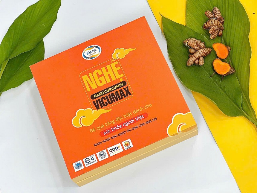 Nghệ Việt Nam trước tiềm năng hội nhập, chuyên gia và người trong nghề nói gì?