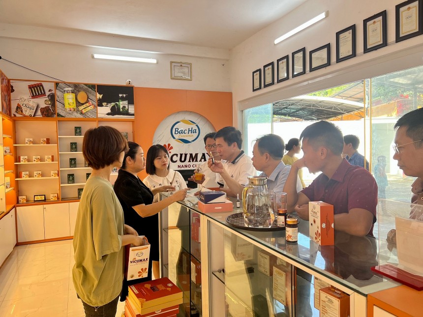 Nghệ Việt Nam trước tiềm năng hội nhập, chuyên gia và người trong nghề nói gì?