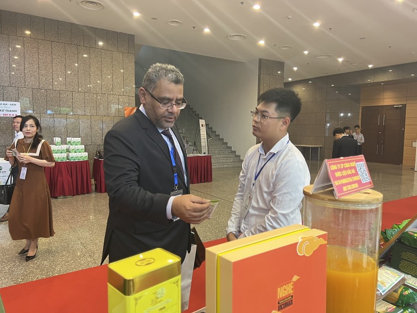 Nghệ Việt Nam trước tiềm năng hội nhập, chuyên gia và người trong nghề nói gì?