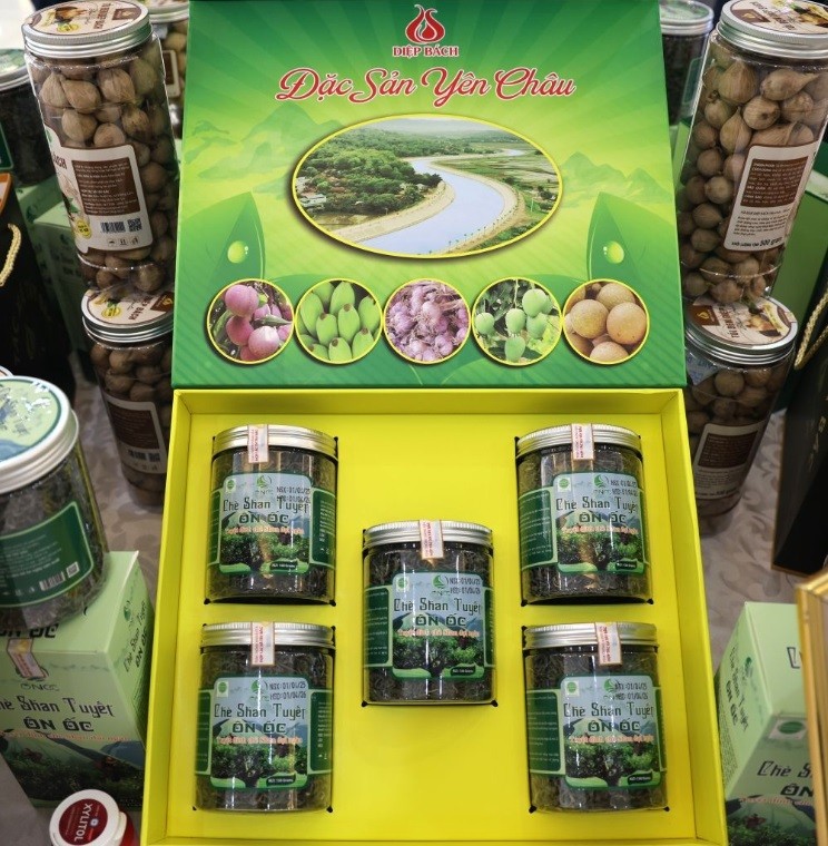 Sản phẩm chè Shan tuyết Ôn Ốc của HTX Tây Bắc, Sản phẩm chè Shan tuyết Ôn Ốc của HTX Tây Bắc,