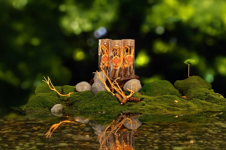 Dalat Newfarm: Từ tâm huyết phục vụ người Việt đến khát vọng vươn tầm thế giới Dalat Newfarm: Từ tâm huyết phục vụ người Việt đến khát vọng vươn tầm thế giới