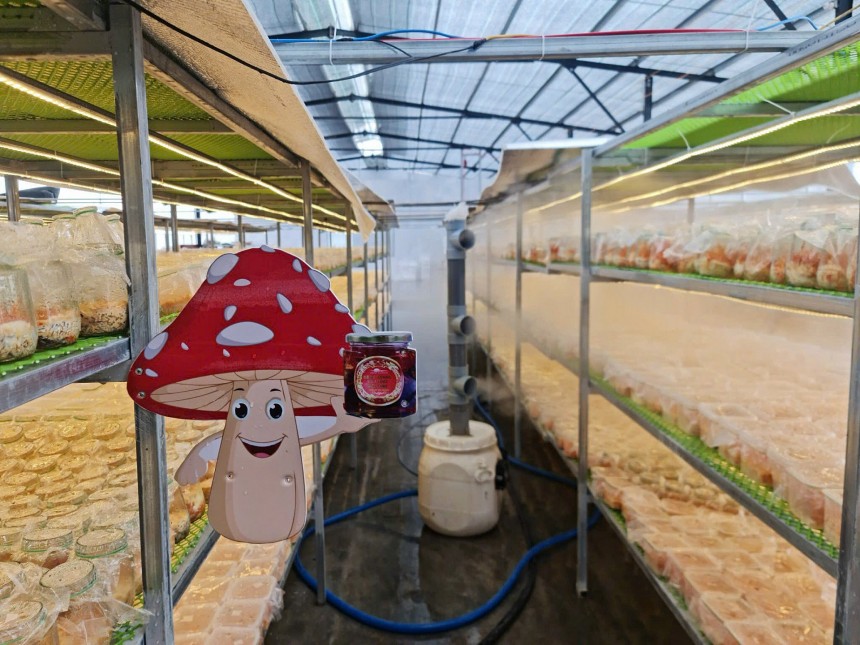 Dalat Newfarm: Từ tâm huyết phục vụ người Việt đến khát vọng vươn tầm thế giới Dalat Newfarm: Từ tâm huyết phục vụ người Việt đến khát vọng vươn tầm thế giới