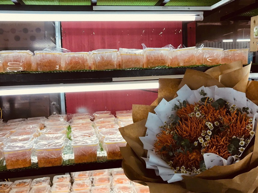 Dalat Newfarm: Từ tâm huyết phục vụ người Việt đến khát vọng vươn tầm thế giới Dalat Newfarm: Từ tâm huyết phục vụ người Việt đến khát vọng vươn tầm thế giới