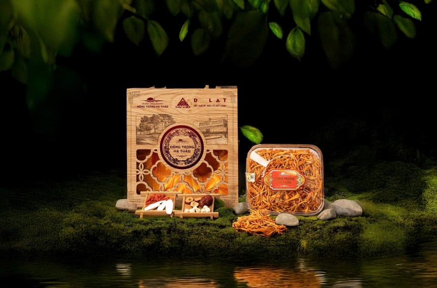 Dalat Newfarm: Từ tâm huyết phục vụ người Việt đến khát vọng vươn tầm thế giới Dalat Newfarm: Từ tâm huyết phục vụ người Việt đến khát vọng vươn tầm thế giới