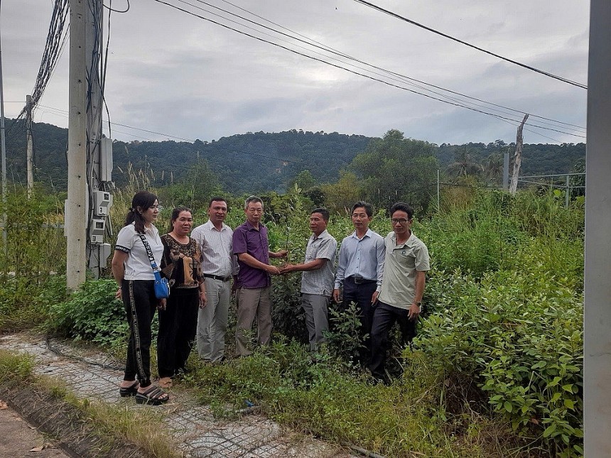 Kiên Giang: Sim rừng Phú Quốc - Từ đặc sản địa phương đến cơ hội xuất khẩu Kiên Giang: Sim rừng Phú Quốc - Từ đặc sản địa phương đến cơ hội xuất khẩu