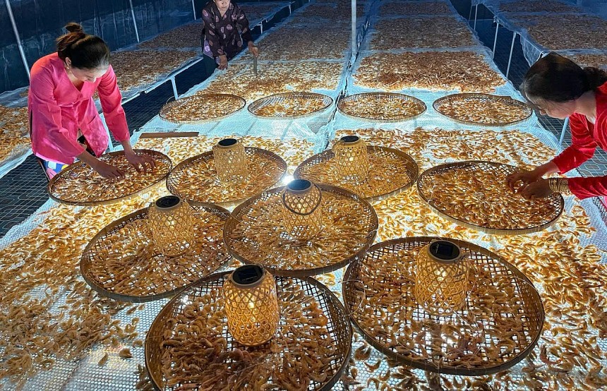 Cà Mau: Gặp chủ thể OCOP được đề xuất danh hiệu “Nghệ nhân ưu tú” với nghề làm tôm khô Cà Mau: Gặp chủ thể OCOP được đề xuất danh hiệu “Nghệ nhân ưu tú” với nghề làm tôm khô