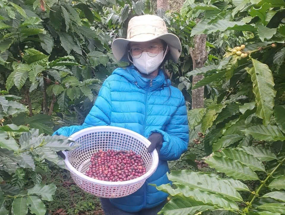 Lâm Đồng: Chủ thể OCOP cà phê mong người làm nghề giữ vững “cái tâm” giữa cơn bão giá