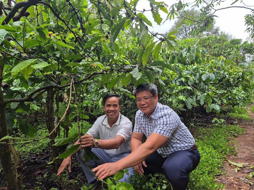 Lâm Đồng: Chủ thể OCOP cà phê mong người làm nghề giữ vững “cái tâm” giữa cơn bão giá Lâm Đồng: Chủ thể OCOP cà phê mong người làm nghề giữ vững “cái tâm” giữa cơn bão giá