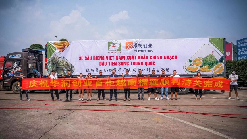 Bến Tre: Sầu riêng Việt Nam vượt sóng thị trường – Chia sẻ từ chủ thể OCOP 5 sao