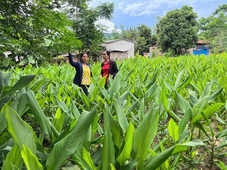 Chủ thể OCOP khát vọng cải thiện cuộc sống đồng bào dân tộc thiểu số