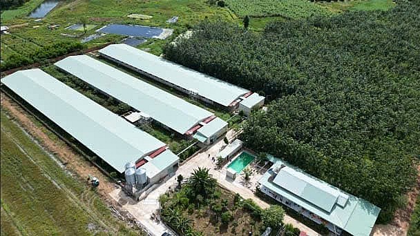 Bình Dương: Chủ thể OCOP tin tưởng tiềm năng phát triển của “siêu đô thị” TP. HCM