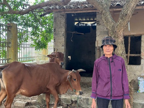 thanh hoa hieu qua tu cac du an tieu du an thuoc chuong trinh muc tieu quoc gia giam ngheo ben vung
