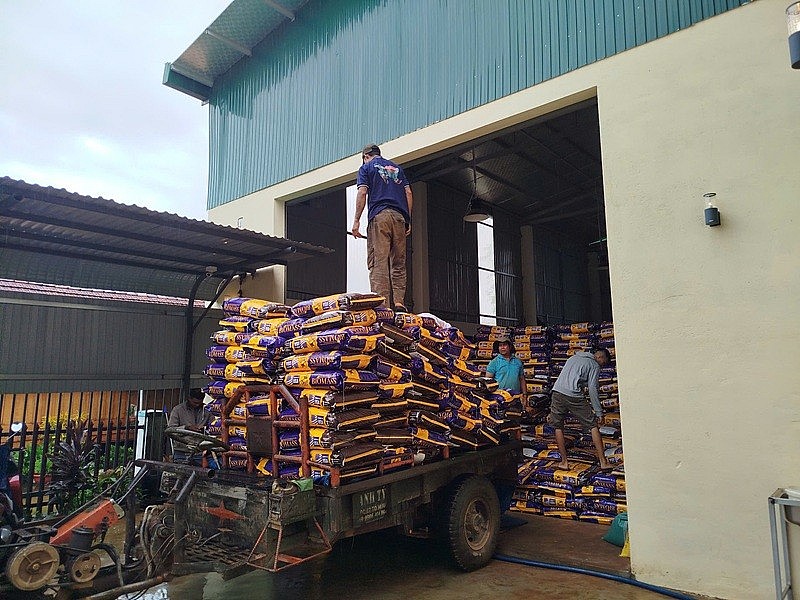 Muốn cạnh tranh, doanh nghiệp cà phê Việt phải xây dựng mô hình cà phê bền vững, từ bỏ phương pháp canh tác lạm dụng phân bón hóa học, chuyển sang tập trung vào nông nghiệp hữu cơ