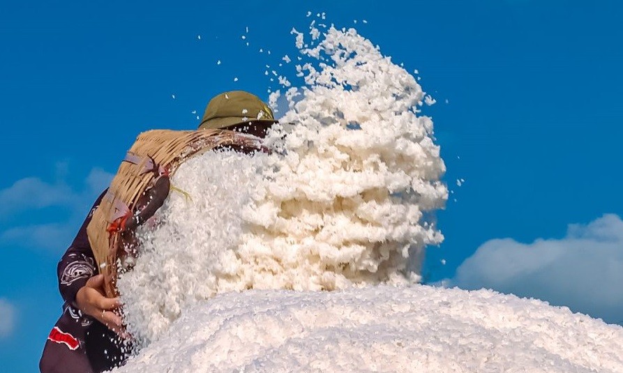 Cà Mau có 2 sản phẩm muối đạt OCOP 5 sao cấp quốc gia