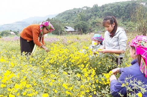 lao cai phat trien nong thon moi tu nong san the manh va htx ban dia